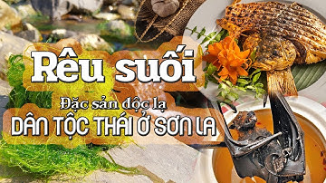 RÊU SUỐI ĐẶC SẢN DÂN TỘC THÁI Ở SƠN LA | Sản Vật Việt Nam #đặcsảnsơnla #cápỉngtộp #rêusôngsuối #dơi