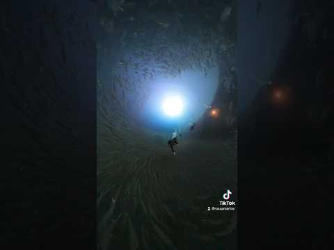 มุมกล้องดำน้ำเกาะช้างdiving ดำน้ำ เรือหลวงช้าง