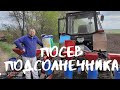 Посев подсолнечника