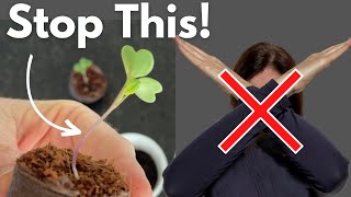 FIX LEGGY SEEDLINGS - Don't Start Over, Do THIS Instead! by Now Gardening 100,470 views 1 year ago 4 minutes, 57 seconds