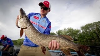 Видео о рыбалке №212