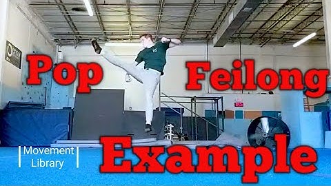 What is a Feilong? Tricking Examples
