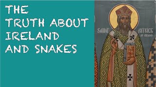 The Truth About Ireland and Snakes by Nature League 3,438 views 4 years ago 3 minutes, 55 seconds