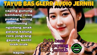 TAYUB BAS GLERRR audio jernih jawa timur maknyus nyampleng