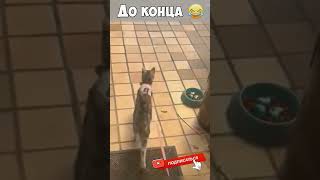 Смешные моменты🤣🤣Неудачные моменты🤣🤣#юмор #смех #fun #jokes #приколы