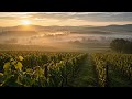 Silent Vineyard Morning   Acoustic Pastoral Background Music
