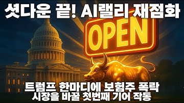 미정부 셧다운 끝? AI 랠리 리스크 온! 트럼프 한마디에 보험주 폭락! 대세 상승 1단 기어?