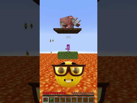 Minecraft Guess The