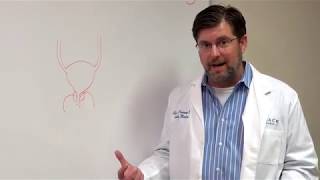 Dr. Chetlen Crossnoe Discusses Prostate Cancer Screening