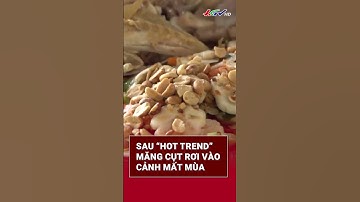 Sau “hot trend” măng cụt rơi vào cảnh mất mùa #măngcụt #trendmangcut | Truyền hình Hậu Giang