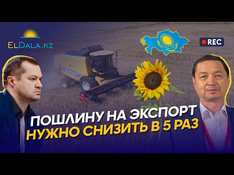 Рынок зерновых и