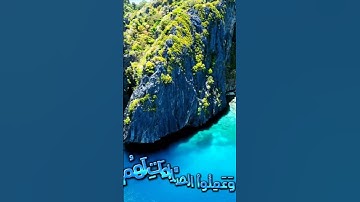 سورة المائدة و.كا.نك تسمعها لأ.و.ل مر.ة❤️.💖💮.🏵️.🌸بصوت الشيخ حمزة مدبو.ح🌸.🌼.💕🌷