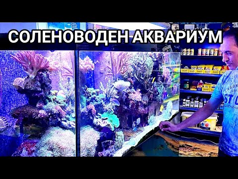 Видео: Сладководни или соленоводни риби са сладководни?