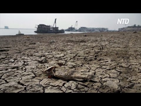 Видео: Озеро пресноводное?