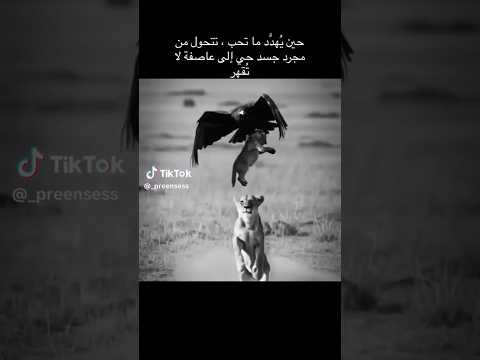 هل قص رت في حقهم العطاء بلا مقابل التضحية الدنيا