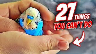 27 Things You Can't do When You Have a Bird