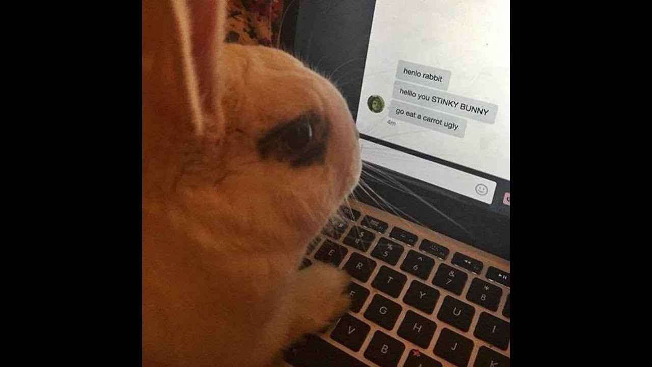 it learned i2 skip (IKHM 