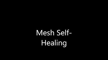 Mesh Network nRF24L01