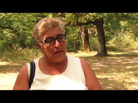 წამლობა იმერეთში