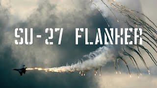 DODGE THIS (SU-27 FLANKER) Resimi