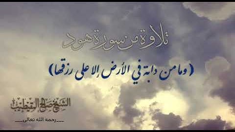 تلاوة من سورة هود