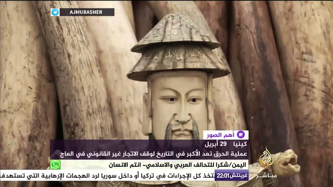 أكبر عملية حرق في التاريخ لـ ١٠٠ طن من أنياب الفيل