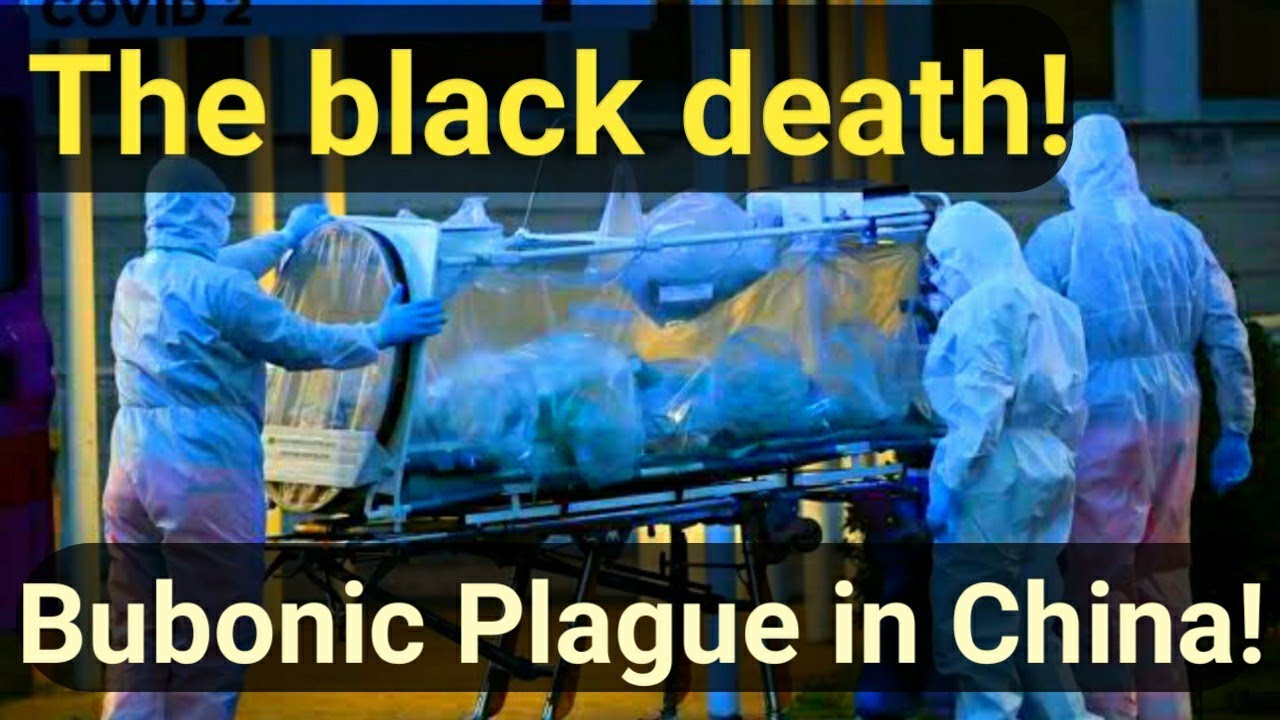 Bubonic plague in ChinaThe black deathChina plague outbreakNew