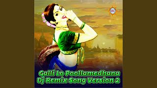 Galli Lo Poollamedhana (DJ Remix Song Version 2)