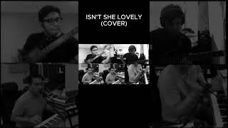 ISN'T SHE LOVELY (GUITAR COVER) #isntshelovely #indralesmana