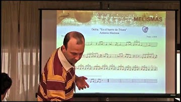 NIPS 2011 Music and Machine Learning Workshop: Automatic Detection of Ornamentation in Flamenco