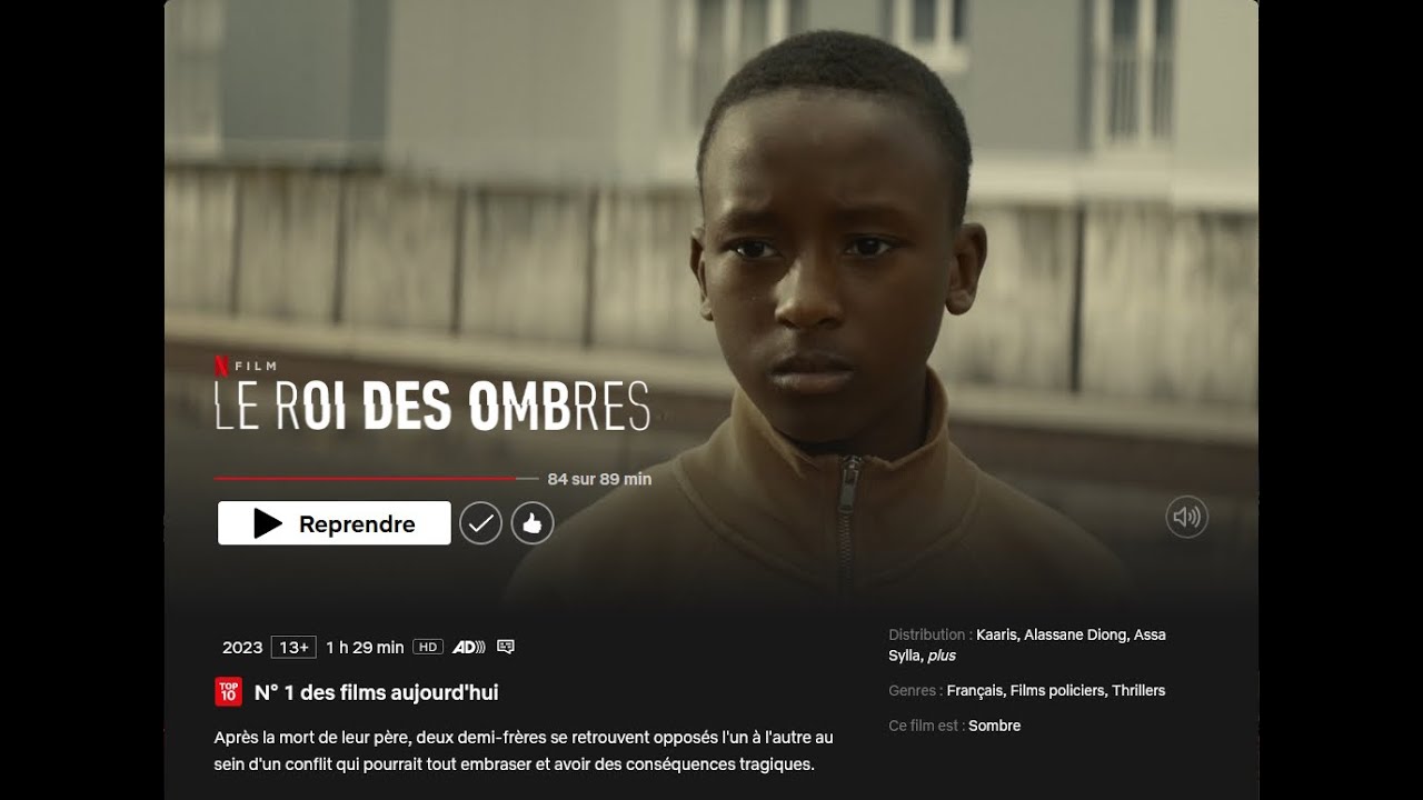 Le Roi des Ombres (mon avis) YouTube Le Roi des Ombres (mon avis) YouTube