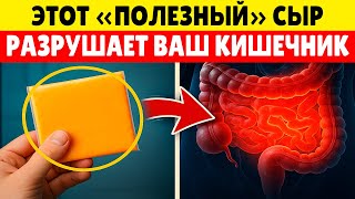 Даже "Полезный" Сыр Может Вас Убивать! (Разбор 8 Видов из Магазина)