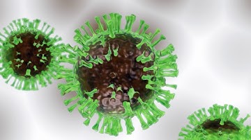 Corona Virus 3D Model - Blender 2.82 Eevee rendering