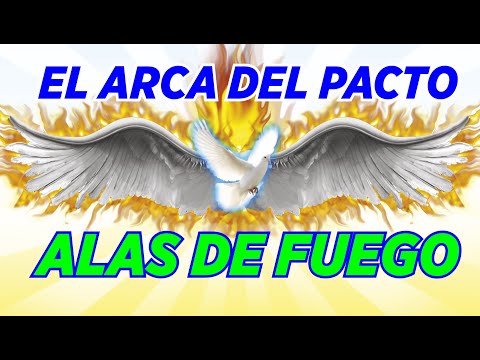 Video: ¿Murió la gloria en alas de fuego?