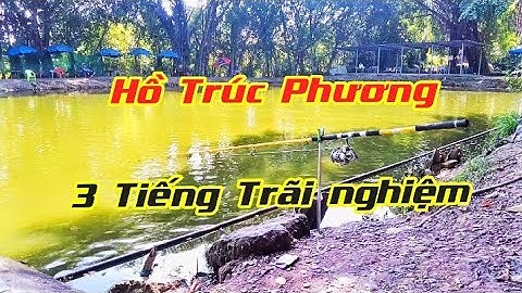 Tập 29.Hồ câu TRÚC PHƯƠNG Q.12 #Bengb