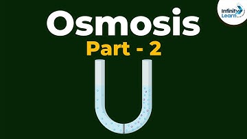 Osmosis Process - Part 2 | Don