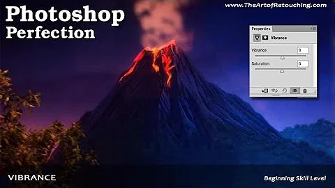 Vibrance Adjustment Layer | Photoshop Beginner's Tutorial