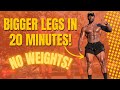 20 Minute Calisthenics Leg Workout (Follow Along) | Bigger Legs