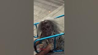 la abuela el regreso 👵 😱😟