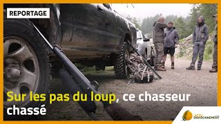 Sur les pas du loup, ce chasseur chassé