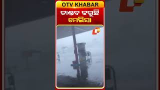 ତଣଡବ କରଛ ମଲସ