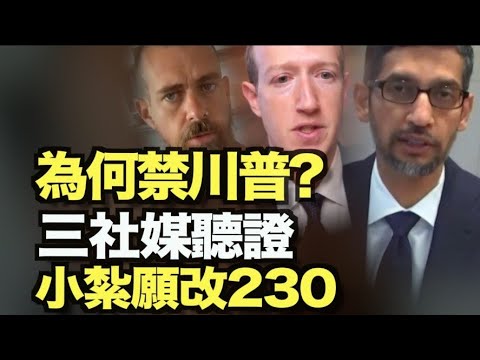 科技巨头低头了？脸书愿配合修改230法案；福西家人被揭是拜登铁杆粉丝？爆料！中共在美策划“议会夺权”  ；Google又妥协了！ 与多家意大利媒体达成新闻付费协议【希望之声TV】10pm