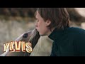 Ylvis  language of love official music