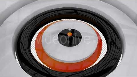 3D Circle Shapes Transition | Motion Graphics - Envato elements