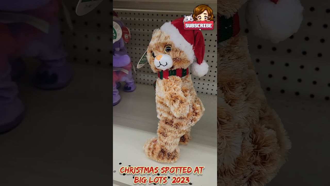 Christmas Spotted Already At Big Lots 2023 I Like Catnip And Cannot MEOW