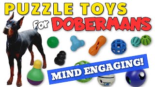 Best Puzzle Toys for Dobermans-HIGHLY Mind Stimulating!