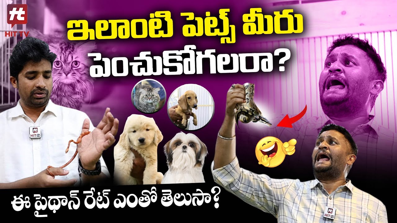 Exotic Rare Pets In Hyderabad Exotica The Aquarium Store Part1