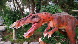 Gi̇di̇n Gezi̇n Görün Eğlence Garanti̇