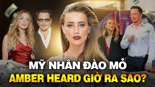 AMBER HEARD | MỸ NHÂN ĐẸP NHẤT HÀNH TINH SAU VỤ LY HÔN TAI TIẾNG GIỜ RA SAO?