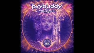 PsyBuddy & Protonix - The Psychedelic Journey ᴴᴰ